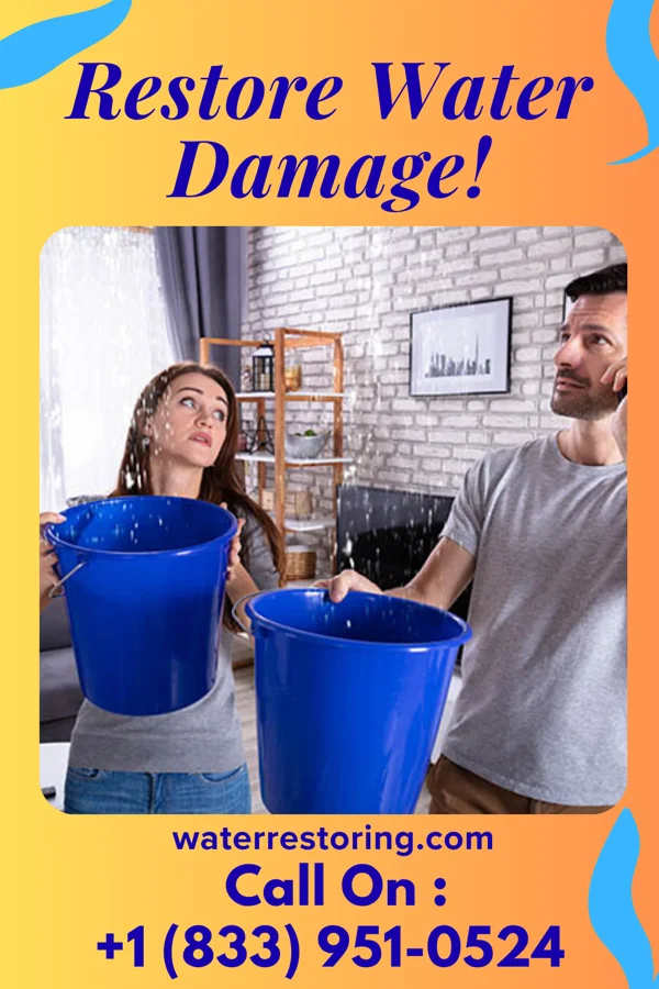 water restoration Premier Flood Damage Force Elgin