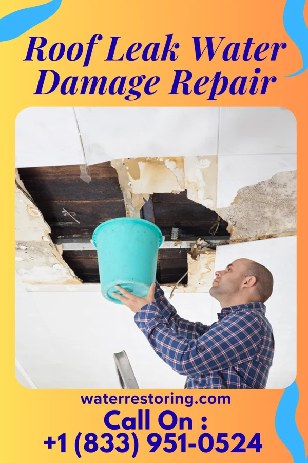 Roof Leak Water Damage Repair in Elgin, NE