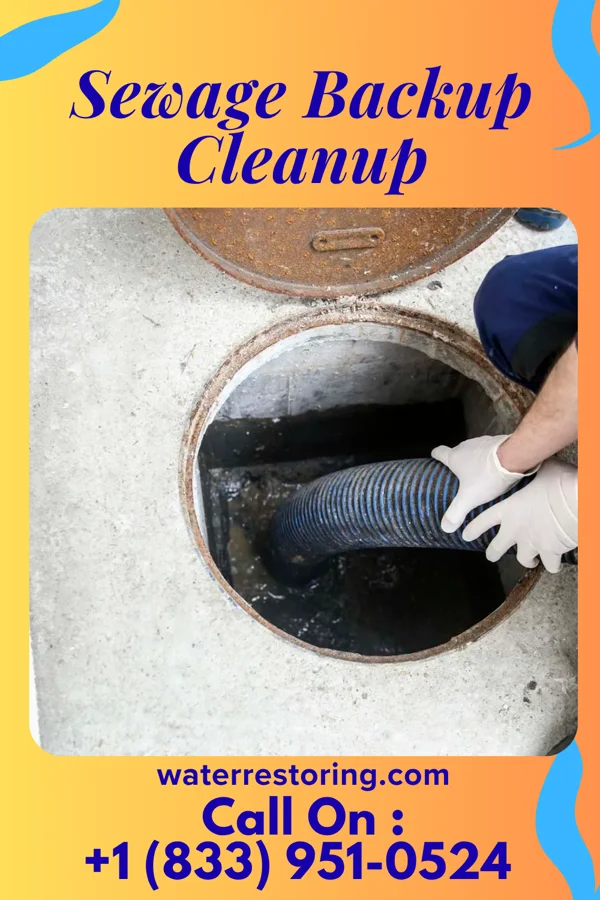 Sewage Backup Cleanup in Elgin, NE